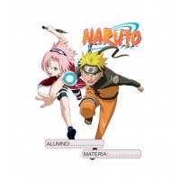 Naruto 10